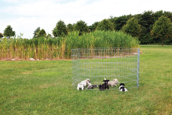 Pentuaitaus 8x61x91cm sinkitty Trixie - Koira-aitaukset - 008400 - 1