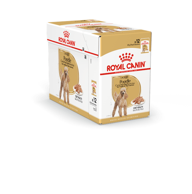 Poodle Adult Loaf 12x85g mureke Royal Canin - Koiran säilykkeet aikuisille koirille - 018680 - 2