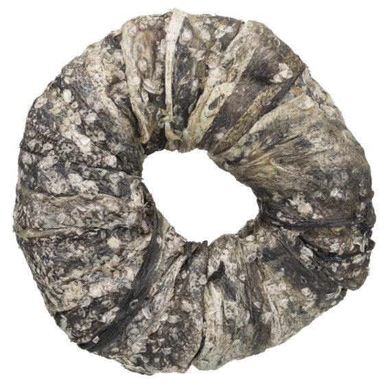 Purudonitsi kala 10cm 110g Trixie - Koirien puruluut - 017230 - 1