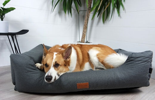 Reunapeti Luxus Vaimare tummanharmaa Milos94 Tujoma MemoryFoam - Koiran reunalliset pedit - 036240 - 1