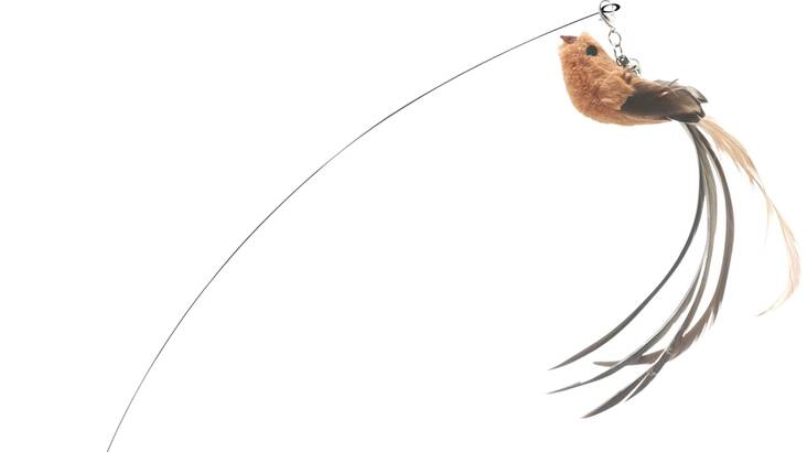 Leikittimen vaihtolelu 2kpl lintu & karvapuuhka Companion - Kissan huiskat ja onkilelut - 039530 - 1