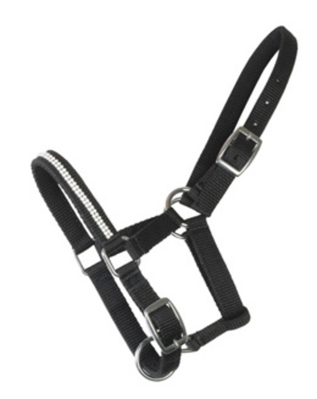 Riimu Crystal varsa musta Horse Comfort - Hevosen nylonriimut - 009490 - 1