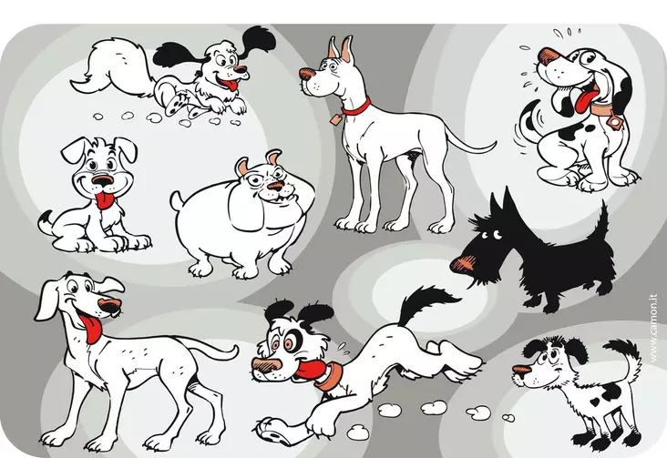 Ruokinta-alusta Iloiset koirat harmaa Camon - Koiran ruokinta-alustat - 014650 - 1