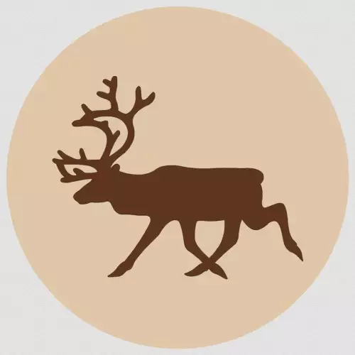 Poro jauhettu luuton 500g Fanimal - Koiralle pakastelihat ja -elimet - 045790 - 1