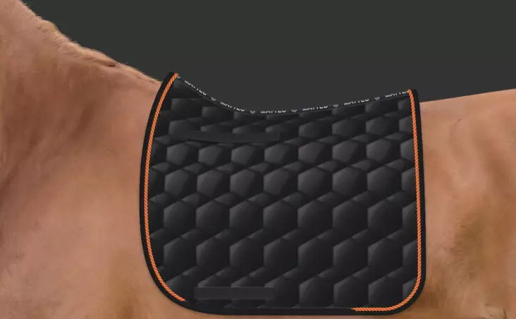 Kouluhuopa Square Quilt Sheen L musta, oranssi reunanyöri Mattes - Ratsun satulahuovat ja romaanit - 046980 - 1