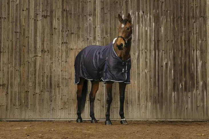 Kesäloimi Vague navy Equitheme - Hevosen vuorettomat talliloimet - 051840 - 1