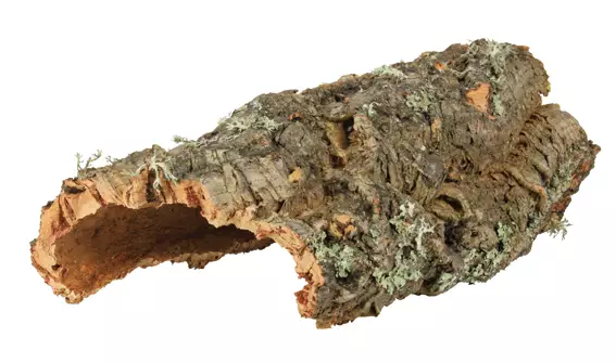 Korkkipuutunneli Puolikas M Trixie - Terraarion tarvikkeet ja kuivikkeet - 044390 - 1