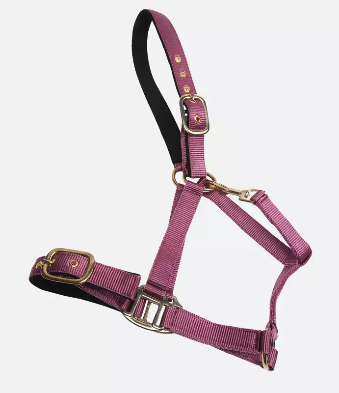 Nylonriimu Avery turvalta avattava topattu pinkki Horse Comfort - Hevosen nylonriimut - 006560 - 1