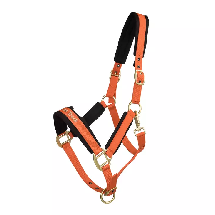 Nylonriimu Werano oranssi Welltex Back On Track - Hevosen nylonriimut - 051290 - 1