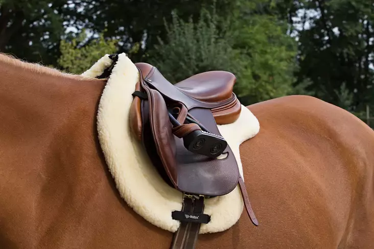 Satulahuopa Teddy 1size beige Back On Track - Ratsun satulahuovat ja romaanit - 051300 - 1