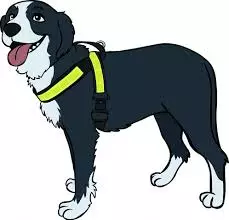 Talutinvaljas 4cm leveällä nauhalla Boett - Koiran heijastimet ja turvavalot - 019920 - 1