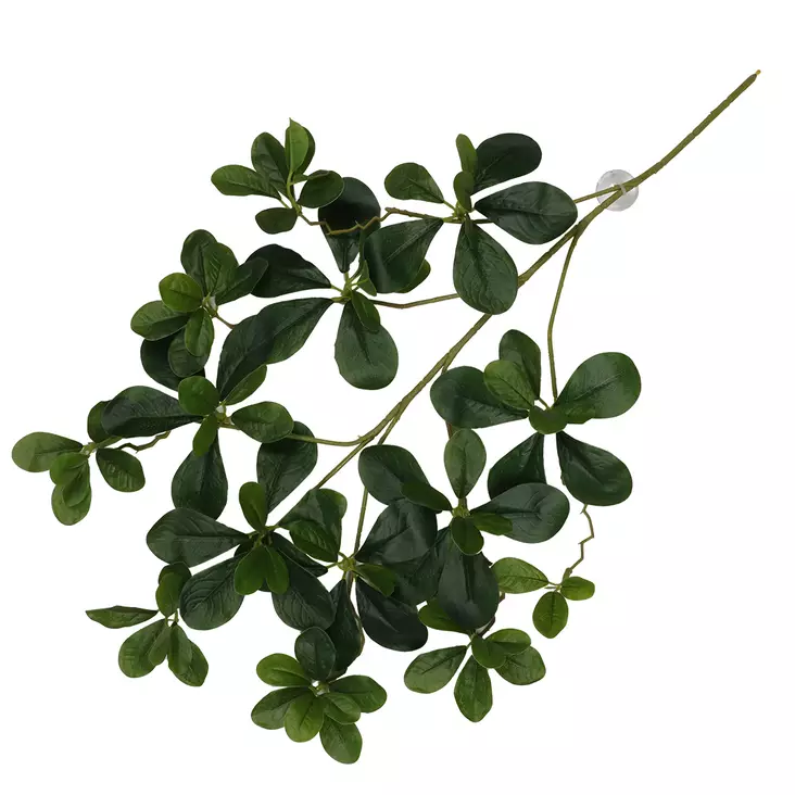Tekokasvi Aralia Green 60x30cm Terra Della - Terraarion tarvikkeet ja kuivikkeet - 059430 - 1