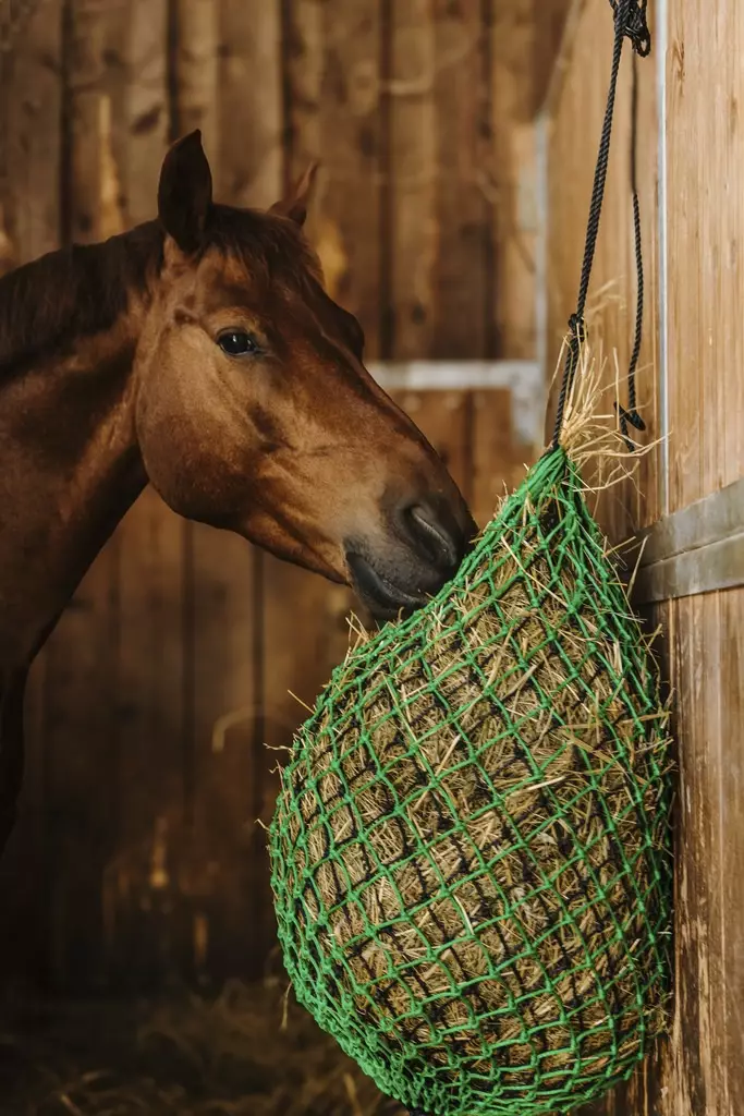 Tuplaheinäverkko 105cm silmäkoko 5cm vihreä-musta Hippotonic - Hevosen ruokinta-astiat ja ämpärit - 051010 - 1