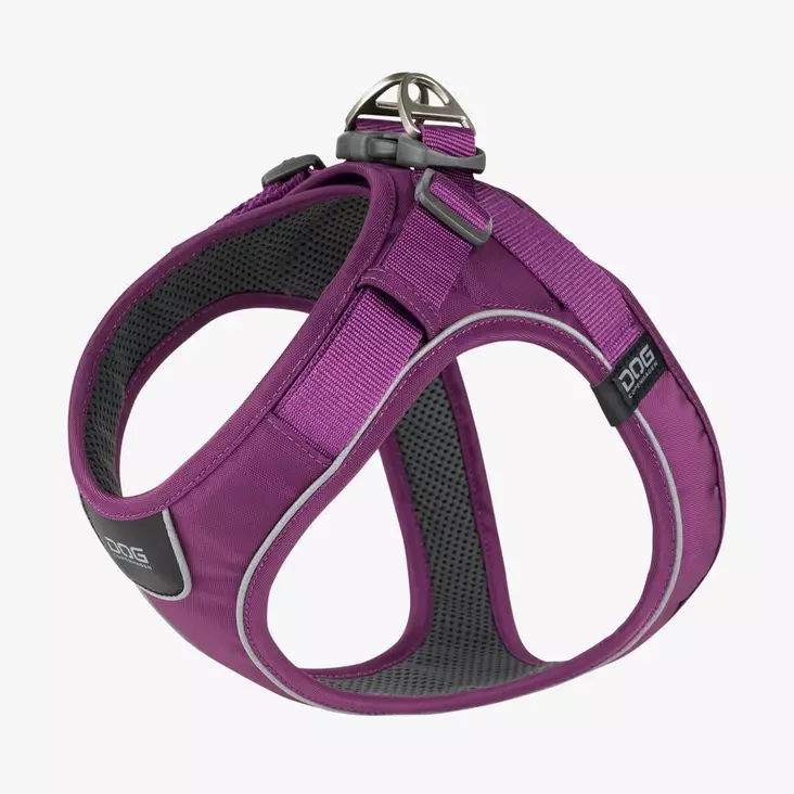 Valjas purple passion Comfort Walk Go Dog Copenhagen - Koiran Y-valjaat - 051620 - 1