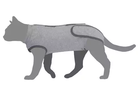 Toipilaspaita kissalle Camon - Kissan kaulurit ja suojapuvut - 046131 - 1