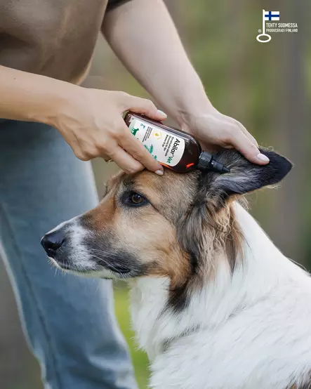 Abilar VET korvahuuhde 100ml Repolar - Koiran korvat ja silmät - 055061 - 3