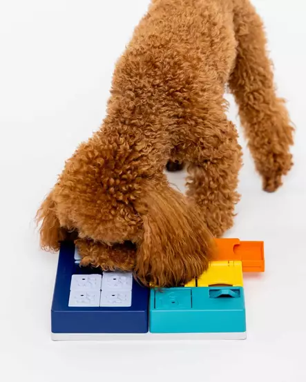 Aktivointipeli Smarty Set 7 osaa Pawzler - Koiran aktivointilelut - 059881 - 2