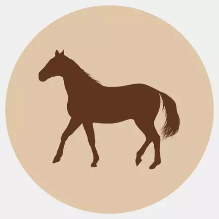 Hevonen jauhettu 500g luu 25% Fanimal - Koiralle pakastelihat ja -elimet - 059611 - 1