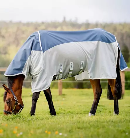 Hyönteisloimi Amigo AmECO Combi irrotettavalla kaulakappaleella teal/grey Horseware - Hevosen hyönteis- ja UV-loimet - 057731 - 2
