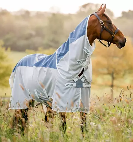 Hyönteisloimi Amigo AmECO Combi irrotettavalla kaulakappaleella teal/grey Horseware - Hevosen hyönteis- ja UV-loimet - 057731 - 1