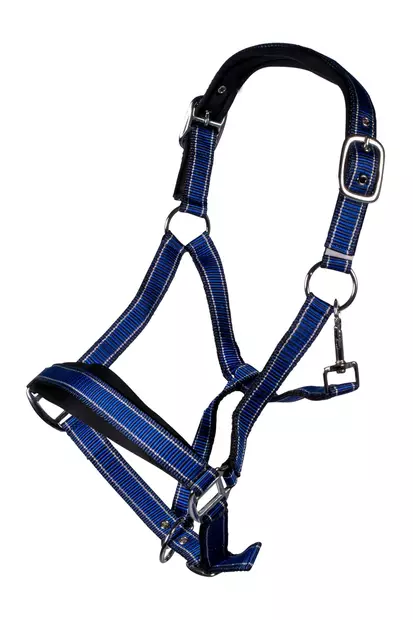 Nylonriimusetti Lilly hyönteishapsuilla tummansininen HKM-sports - Hevosen nylonriimut - 055931 - 2