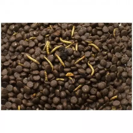 Siilinruoka Garden viljaton 2,5kg JR Farm - Siilin ja oravan ruoka - 051641 - 2