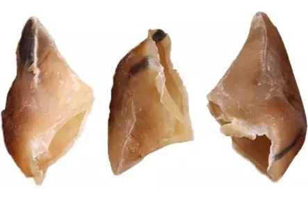 Vasikan kynsi 45g KPL Snacks Nature - Koirien puruluut - 056241 - 1