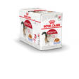 Instinctive Adult Jelly 12x85g hyytelö Royal Canin - Aikuisten kissojen säilykkeet - 000601 - 1