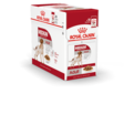 MEDIUM Adult Gravy 10x140g kastike Royal Canin - Koiran säilykkeet aikuisille koirille - 011841 - 2