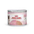Mother & Babycat Starter mousse Royal Canin - Kissanpennun säilykkeet ja kasvatusruoat - 000591 - 3