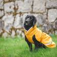 SadePomppa Curry - Koiran manttelit - 036201 - 2