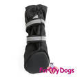Välikausitossut 4kpl nylon mustat For My Dogs - Koiran tossut, sukat ja korvasuojat - 032951 - 3