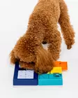 Aktivointipeli Smarty Set 7 osaa Pawzler - Koiran aktivointilelut - 059881 - 2