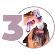 Energiajuomajauhe Doggyshake Energy 2,5g Doggyroller - Koiran herkut ja makupalat - 057161 - 6