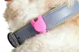 Huomiovalo Jada 8x2,5cm silikoni värimix Flamingo - Koiran heijastimet ja turvavalot - 059811 - 5