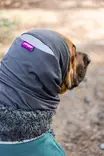 HuppuPomppa graphite - Koiran tossut, sukat ja korvasuojat - 059231 - 7