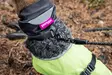 HuppuPomppa graphite - Koiran tossut, sukat ja korvasuojat - 059231 - 10