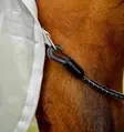 Hyönteisloimi Amigo AmECO Combi irrotettavalla kaulakappaleella teal/grey Horseware - Hevosen hyönteis- ja UV-loimet - 057731 - 6