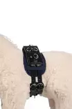 Kapsonisetti Cuddle Pony HKM-sports - Koti ja sisustus - 057761 - 4