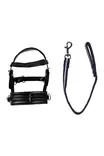 Kapsonisetti Cuddle Pony HKM-sports - Koti ja sisustus - 057761 - 5