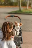 Lemmikkikärryt Buggy irrotettavalla korilla 56 × 101 x 100cm max 22kg oliivinvihreät Trixie - Koiran kärryt ja trolleyt - 057941 - 15