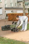 Lemmikkikärryt Buggy irrotettavalla korilla 56 × 101 x 100cm max 22kg oliivinvihreät Trixie - Koiran kärryt ja trolleyt - 057941 - 17