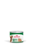 MINI Adult Loaf 195g mureke Royal Canin - Koiran säilykkeet aikuisille koirille - 047451 - 1