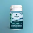 Protect+ makupala suolistolle 150g PrimaDog - Koirien funktionaaliset makupalat - 059021 - 1