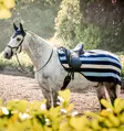 Ratsastusloimi Newmarket witney stripes-navy Horseware - Hevosen selkä- ja ratsastusloimet - 059361 - 3