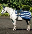 Ratsastusloimi Newmarket witney stripes-navy Horseware - Hevosen selkä- ja ratsastusloimet - 059361 - 2