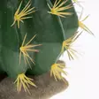 Tekokaktus Echinocactus 1 Green Terra Della - Terraarion tarvikkeet ja kuivikkeet - 059431 - 3