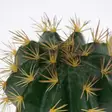 Tekokaktus Echinocactus 1 Green Terra Della - Terraarion tarvikkeet ja kuivikkeet - 059431 - 4
