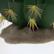 Tekokaktus Echinocactus 1 Green Terra Della - Terraarion tarvikkeet ja kuivikkeet - 059431 - 2