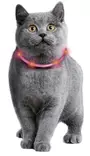 Valopanta Nera Visio USB ladattava 10mm x 20-35cm Flamingo - Koiran heijastimet ja turvavalot - 059801 - 3